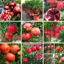 ʯ������ͻ��˹ܛ��ʯ��������ͥԺ�����ش����o����