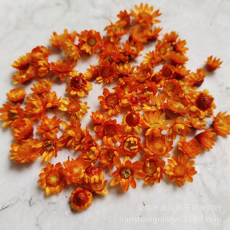 Cabeza de flor de estrella brasileña sin varilla flor seca diy mini margarita cristal epoxi relleno decorativo cabeza de flor seca