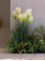 蘆葦蕨葉景觀綠植裝飾植物家居庭院櫥窗布置造景花藝