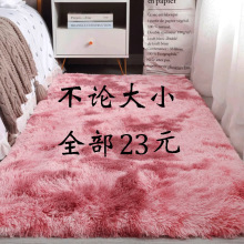 地毯卧室床边毯厚可睡可坐少女客厅毛绒毯地垫家用坐垫房间垫子小
