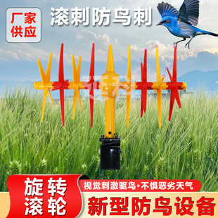 �L����B��늾��U�����B�������L���s�B���^�����Ź̶��L����B��