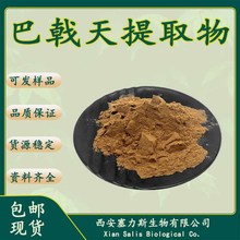现货供应比例浓缩提取物巴戟天提取物巴戟天粉1kg/袋可发样品