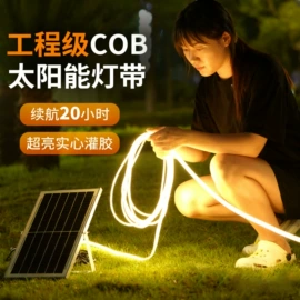 投光灯;洗墙灯;线条灯/灯条