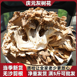 �Ҙ仨��؛�x�ݻ������^�x�ݹ��Ҙ乽���ײ�ջ�����Ģ����㹽��