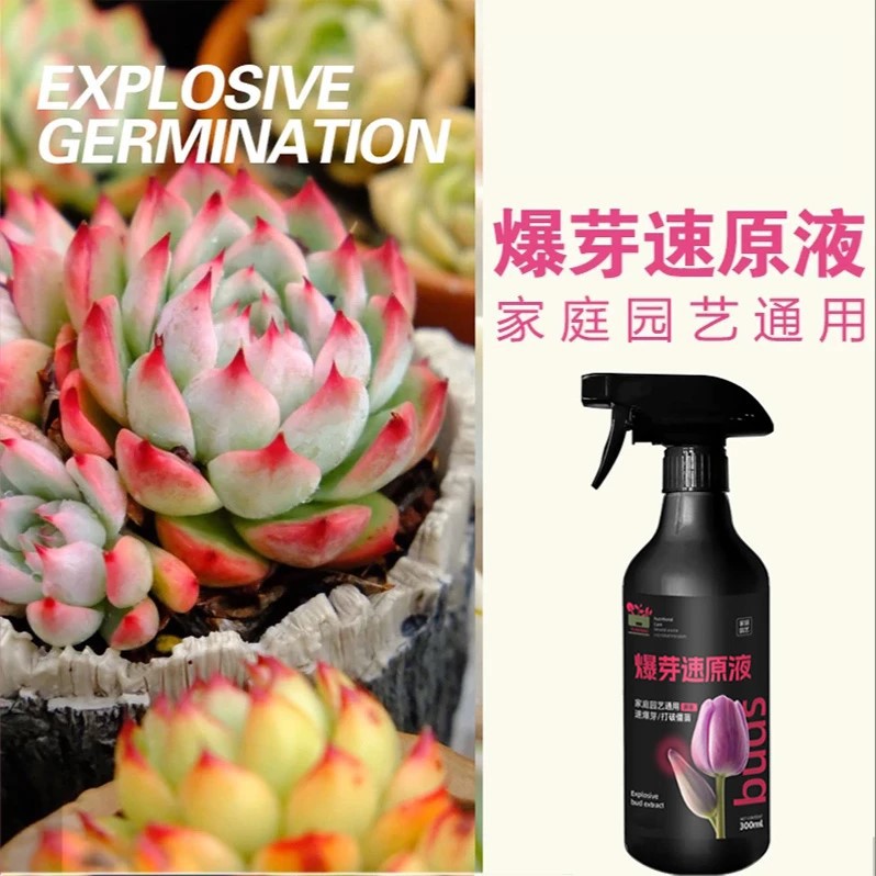 商品图