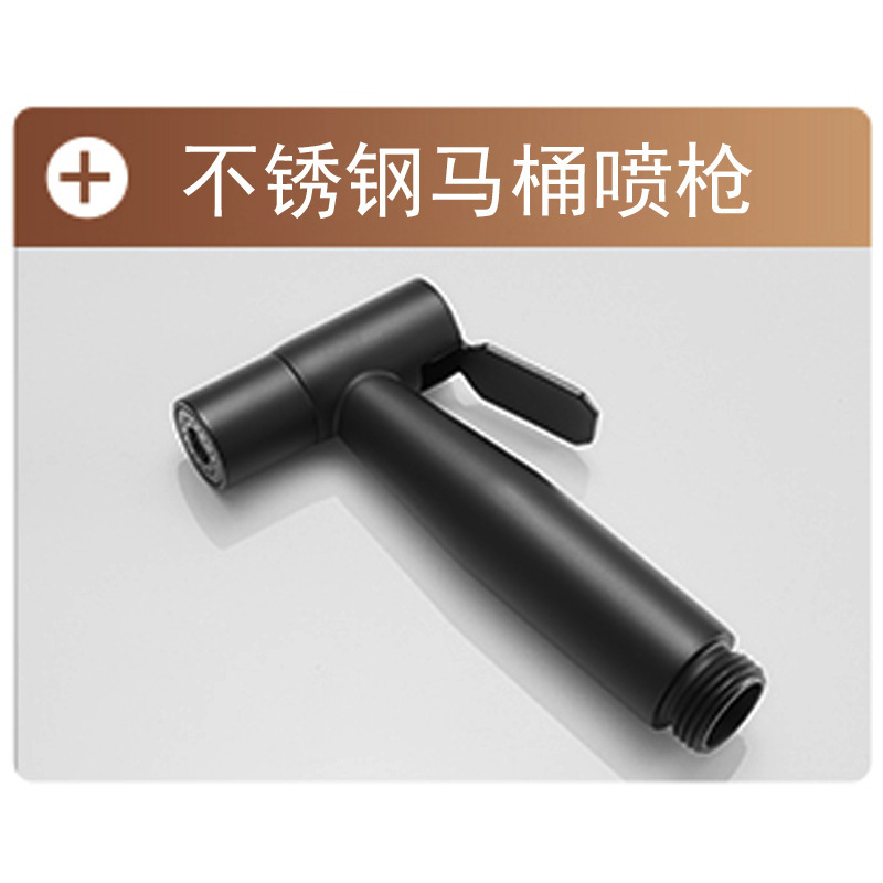 【黑色】不锈钢增压喷枪