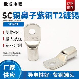 �N�����~�Ӿ������~����SC95-10���~T2��aSC�~���ӸQ���~����