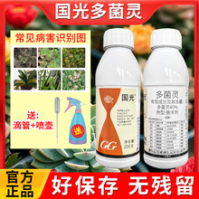 国光40%多菌灵植物花卉白粉病黑斑病炭疽病专用多菌灵通用杀菌剂