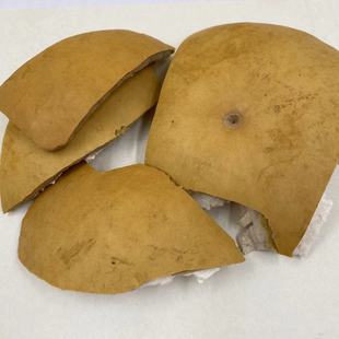 ���l�䱳��ș�ĺ��J ���J�� ���J�� ����J ����ă�