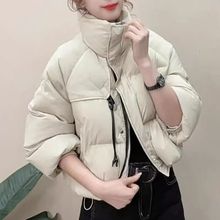 �̿���q������Ů2025�����¿���|С���OӋ���@�ݰٴů�����