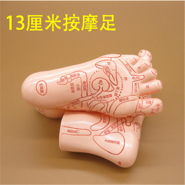 伟叶牌按摩足模型单足对足模型