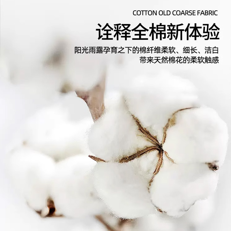 Nueva funda de cama de algodón de algodón de una sola pieza de colchón grueso funda de cama antideslizante funda de polvo funda de cama 2024 nuevo