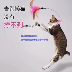 首輪猫スティック、噛みつきにくいおもちゃ、退屈を和らげる猫用おもちゃ、羽の鐘付き子猫用おもちゃ、ペット用品