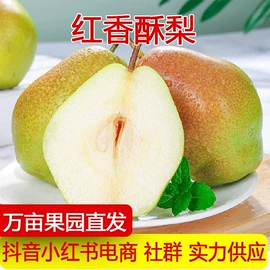 其他水果;梨;番薯类