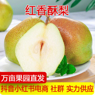 �a��ֱ�l�t���������r�젖������ˮ�������Fժ����ɿ�һ�����l