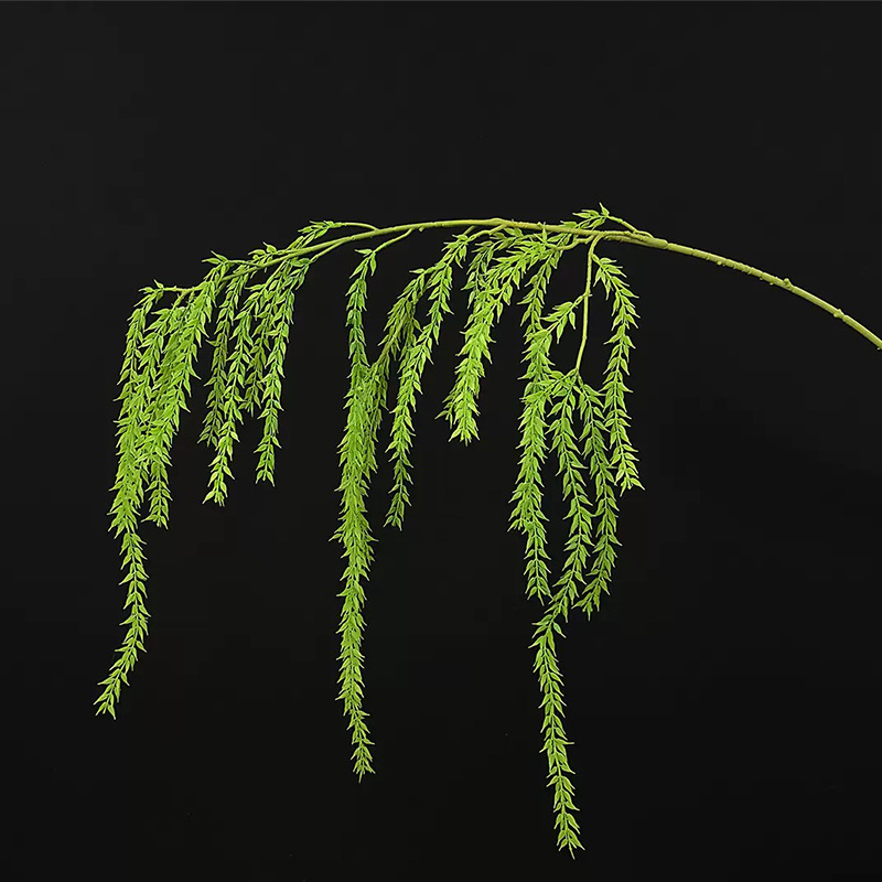 여러 머리 버드나무