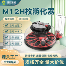 WONEGG12枚小鸡孵化器儿童益智蛋孵化设备带照蛋双水瓶透明上盖