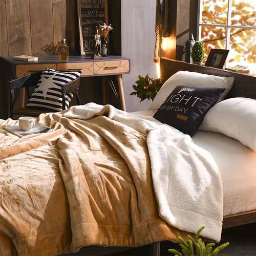 Double layer blanket thickened coral velvet winter sherpa blanket 5060 cross-border exclusive flannel composite blanket dropshipping