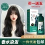 植物家用不沾流行色染发剂