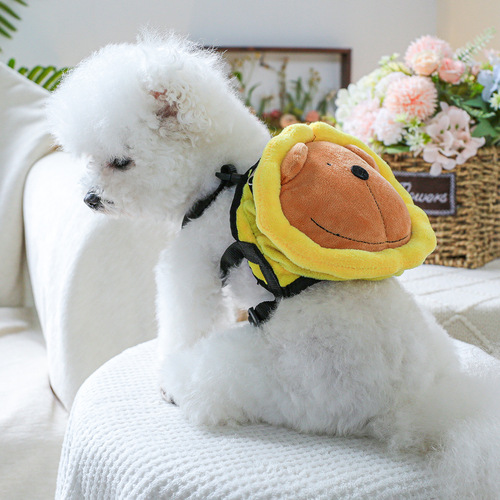 Pet circle puppy cat self-backpack cute little lion schoolbag traction bag