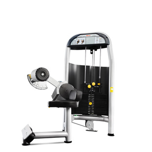 WNQ (evergreen) fitness equipment home commercial indoor gym abdominal muscle trainer strength station F1-5007