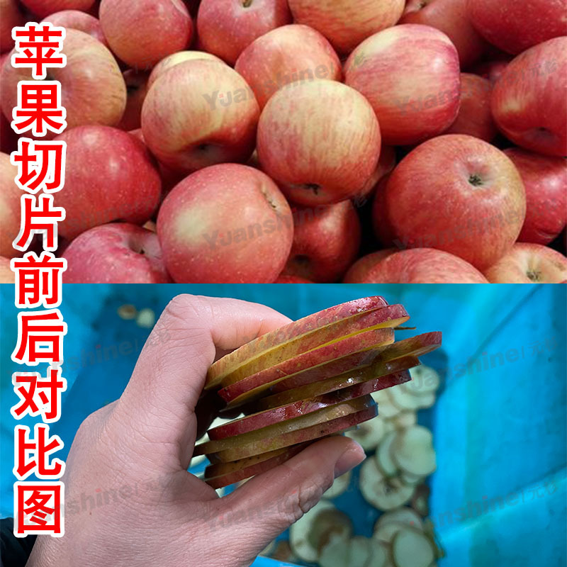 全自动果蔬切片机切片厚度可调 苹果柠檬切片机 土豆黄瓜切圆片机