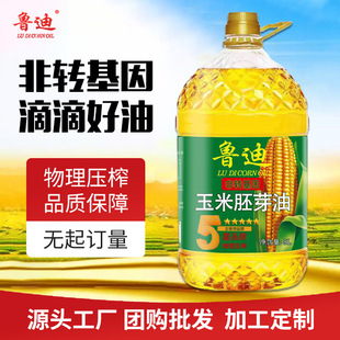 �S�����l  5L������  ��NҎ����x �ɶ��Fُ ���l���l