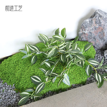 Ĳëɑʹ÷̦\ƺ̦\Gֲ쾰̦\