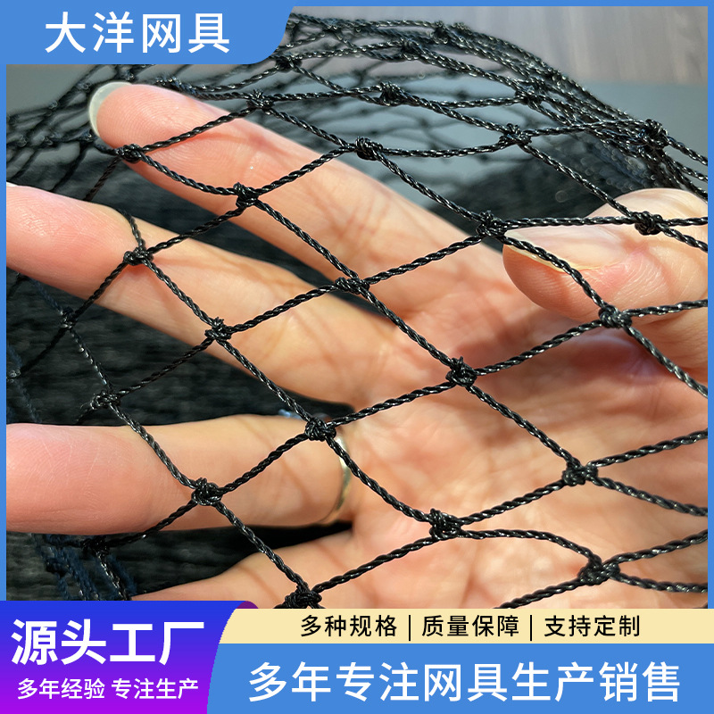 防鸟网 批发尼龙鱼塘园艺防鸟网 葡萄天网农用果蔬菜园防护网