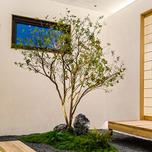 ��Ʒ���u��������Gֲ�҃��b��쾰��ؔ[������ֲ����ʽ���Ҿ��^