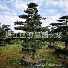 �ɶ���������͘��ṩ���NƷ�N����������ԃ���ؿ���@ˇ��ľ