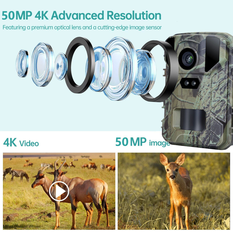Mini Hunting Trail Camera 50MP 4k Outdoor IP65 Waterproof Wild Camera Photo Trap With Night Vision 2