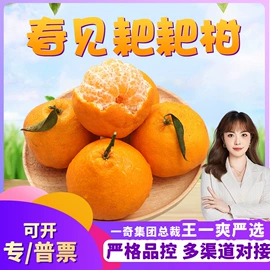 瓜果类;苹果;西式糕点