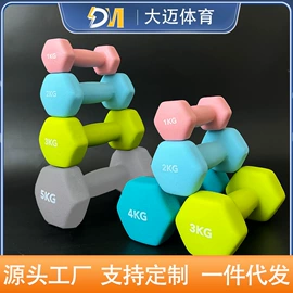 哑铃;拳击用品;其他健身器材