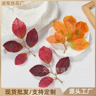 ����ֲ���Ř��~�Ĳ�t�Sɫ���~�f�}����ˇƷ�b��~��ɫ�~��