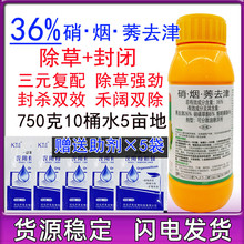 36%硝烟莠去津烟嘧磺隆玉米苗后除草封草剂专用田地除草烂根剂