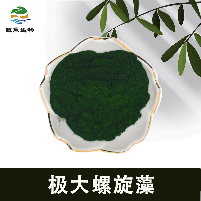 Maxim Spirulina Green Powder Maxim Spirulina Powder Spray Dried Cosmetic Raw Material