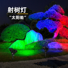���羳���̫������ƻ�԰�����ƻ��⾰��ͥԺ��̫���ܲ�ƺ��