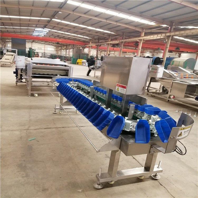 6 pesos clasificador de frutas y verduras productos del mar equipos de clasificación de caja de ostras pepinos de mar tipo de mesa giratoria clasificación automática