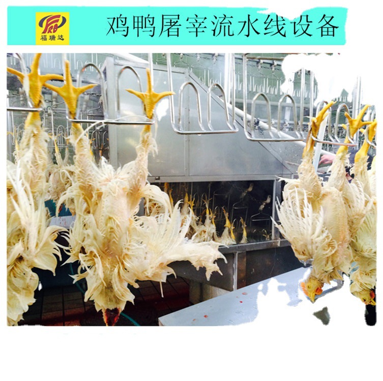 供应家禽屠宰设备 直式不锈钢烫毛机 自动喷淋浸烫池鸡鸭鹅漂烫机