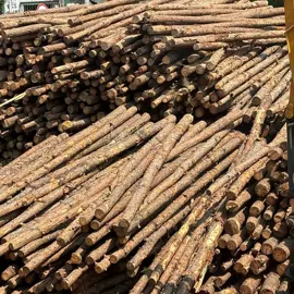 木板材;原木