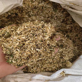 菊花沫图片仅供参考随机发货支持代发1000克菊花