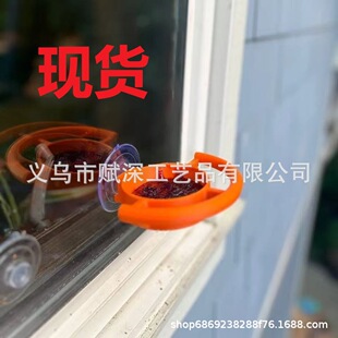 Bird Feeder Window Suction Cup Holder�������Pʽ�Bʳιʳ��