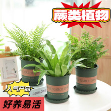 ��ʿ�Dާ�����ļ����໨���҃���βާ���B��G���F��ާ�B��ާ����