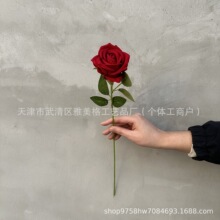 ����õ�廨��֧õ�����˹��Ҿӻ�Y���滨�ٻ����컨�q������õ��