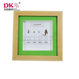 生物教学器材;教学仪器;实验室仪器
