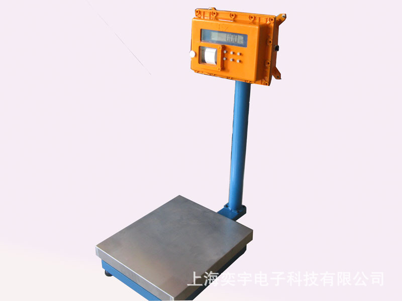 防爆电子秤