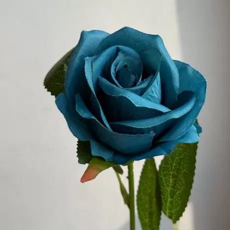 Peacock blue