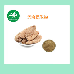 高级感后脑勺发夹