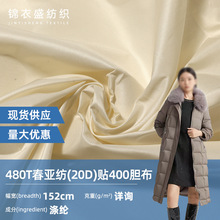 ����20D480T���Ƿ�����400���� ���ܷ������ ���޷������ڵ�����